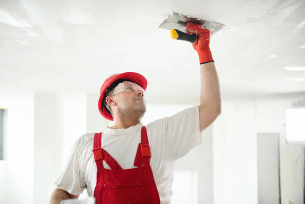 Best Residential Painting  in Sugar Land, TX