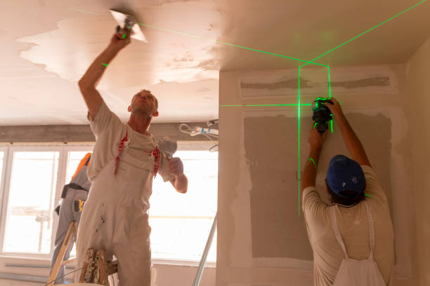 Best Fire-Damaged Drywall Repair  in Sugar Land, TX